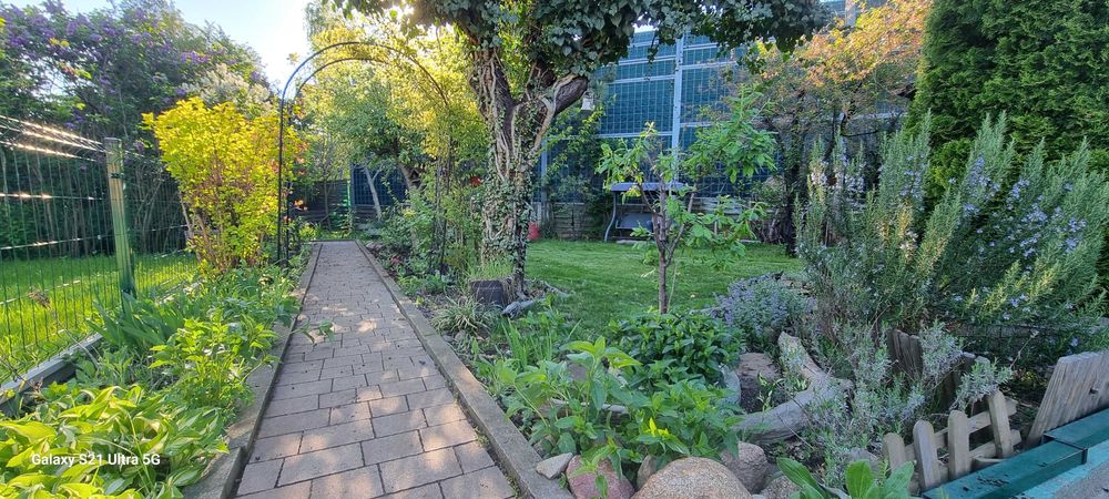 Działka ROD Malborska