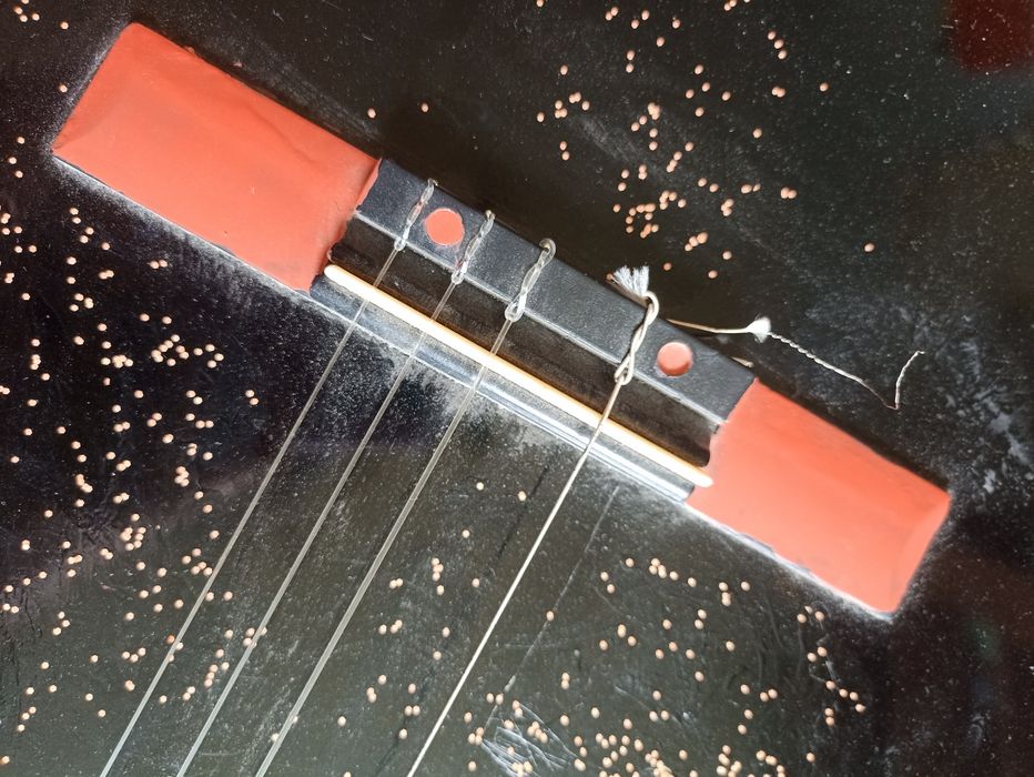 Gitara akustyczna + pokrowiec
