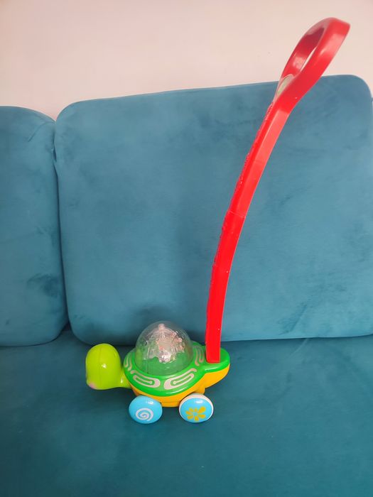 Pchacz żółw smiki