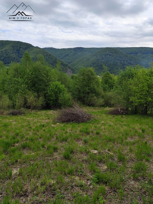 Земельна ділянка 30.7 сот. в с. Шешори з панорамним краєвидом