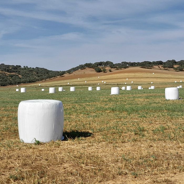 Fenosilagem de Speed Mix