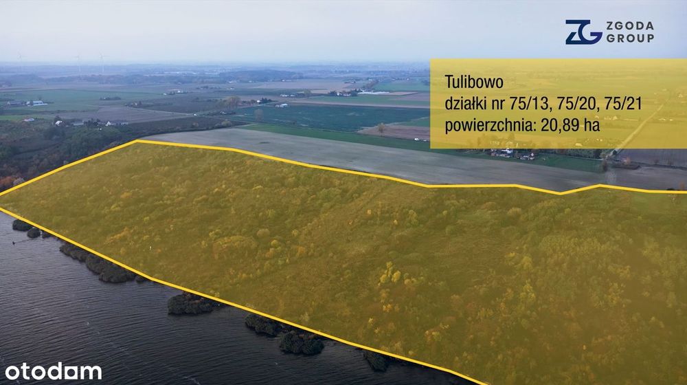 Dzierżawa 21 ha z dostępem do Wisły | Tulibowo - niedaleko Włocławka