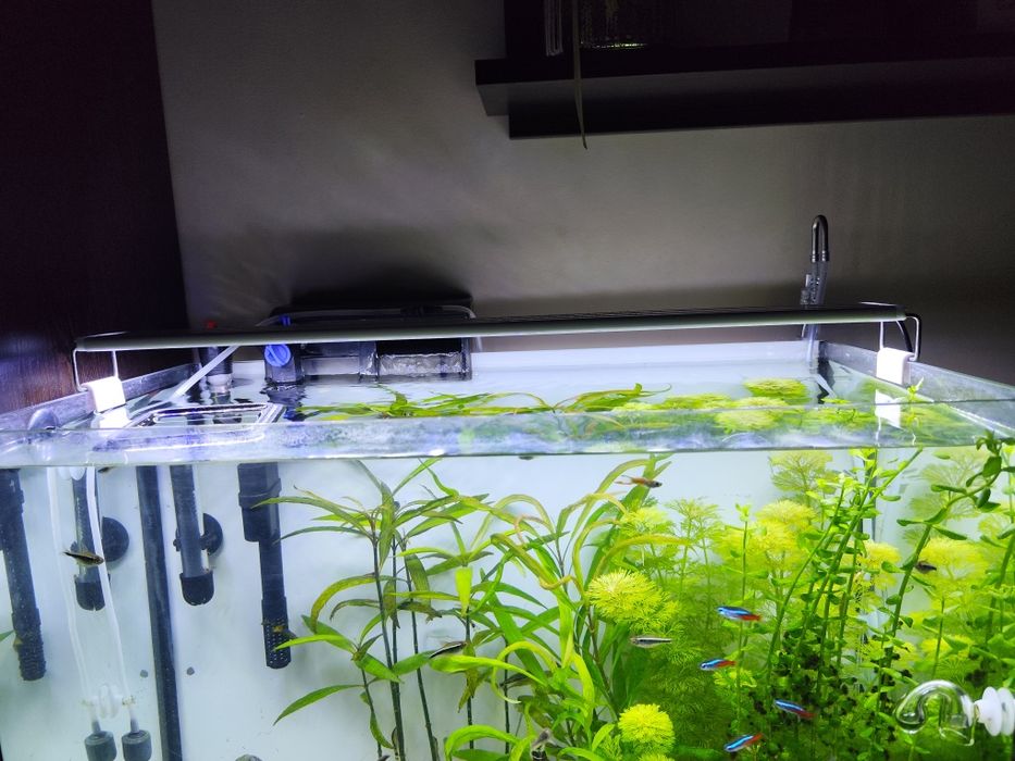 Lampa do akwarium 60 cm