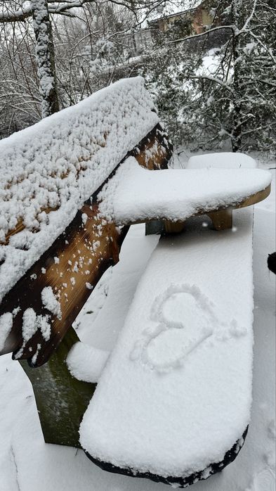 Оренда будинку в лісі із бассейном, чаном і сауною. Без чусідів