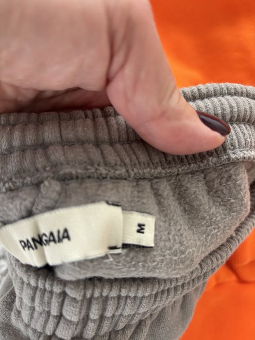 Pangaia оригінал костюм