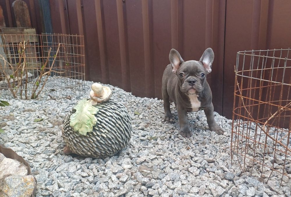 Красень чекає саме тебе.