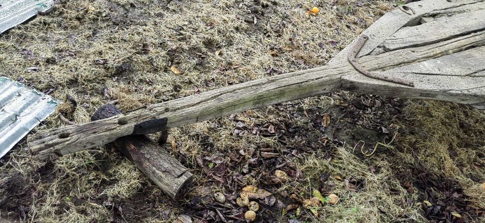 Carro de bois antigo