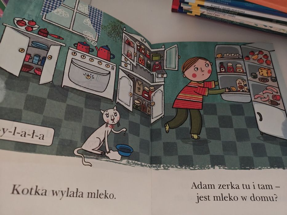 Duży zestaw książek Czytam Sobie Egmont – 23 sztuki | STAN BDB