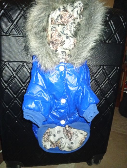 Одежда для любимца или любимцы