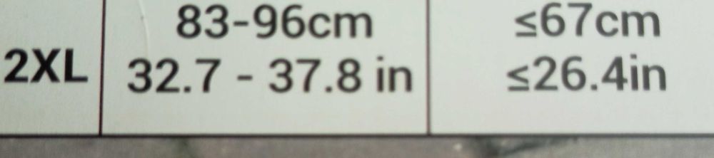 ANDARILHO| Cão Grande Porte