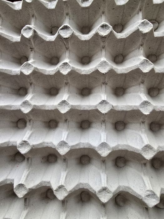 Лоток для яєць  5 на 6