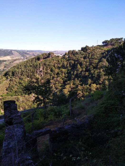 Terreno com 1,2 Hectares e Ruína em Pedra (225m²) – Parada de Cunhos, Vila Real