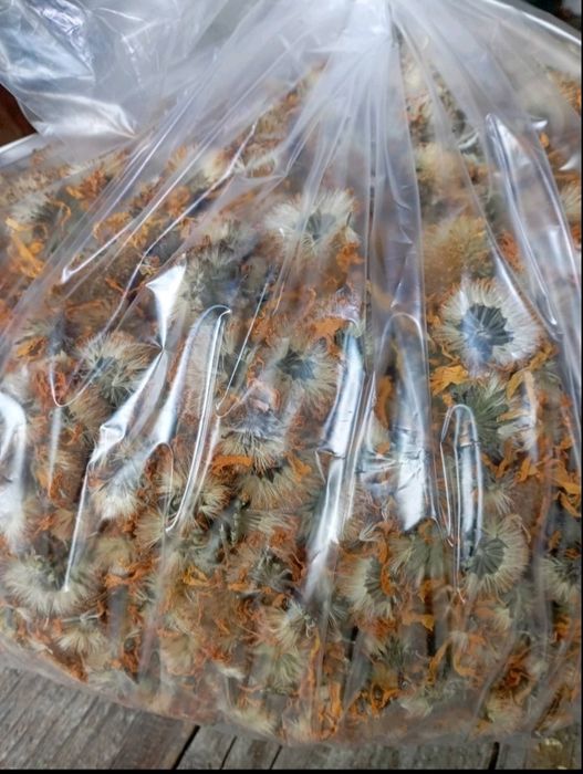 Продається Арніка  сушена