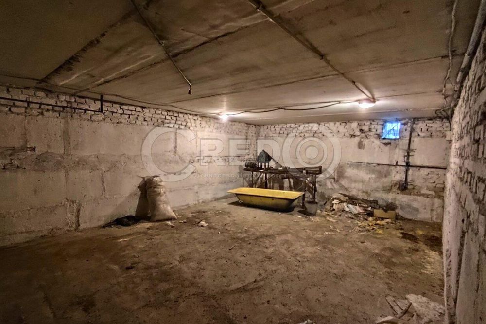 с.Надія (Радгоспне) Великий будинок + фермерське господарство