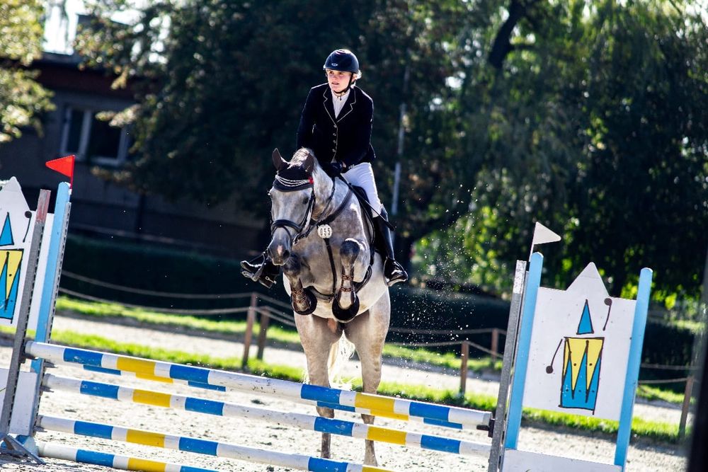 Stakkatol/Caretino wałach 7 lat z potencjałem