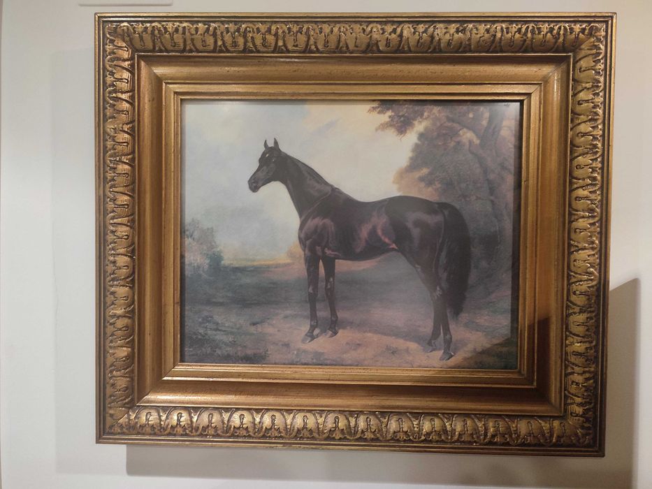 Quadros com cavalos. Conjunto de dois quadros com cavalo negro e castanho