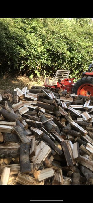 Vendo lenha seca
