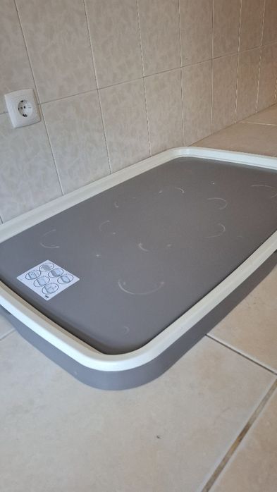 Bandeja de treino cães