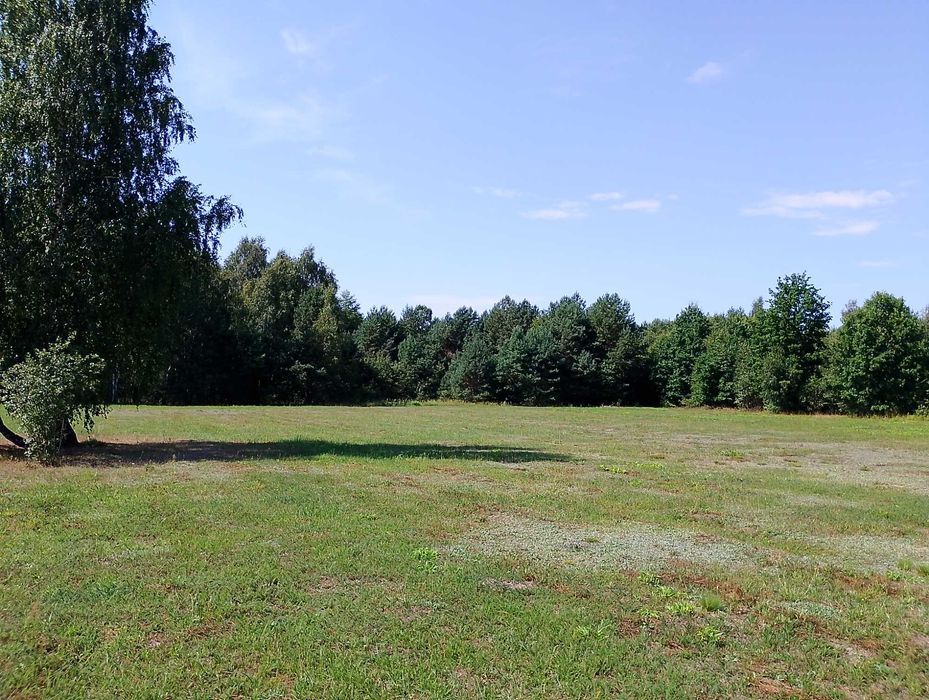 Działki budowlane po 1200 m2 z warunkami zabudowy.