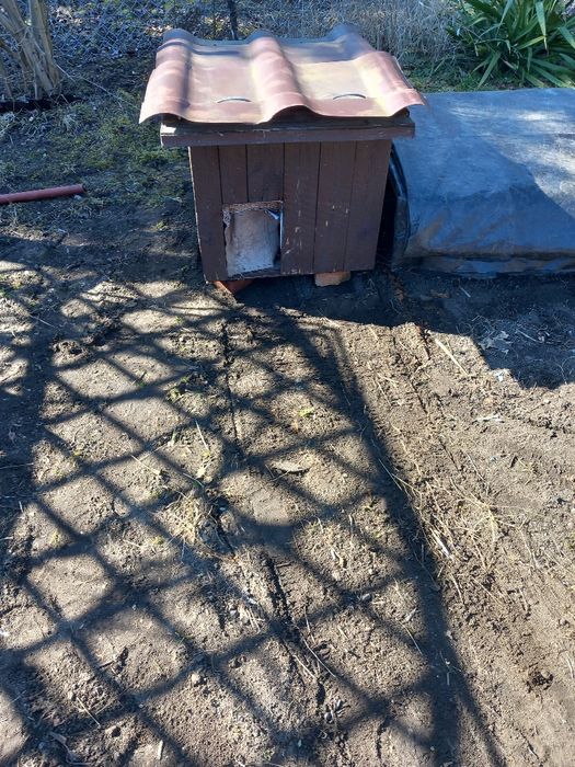 Sprzedam budę dla pieska