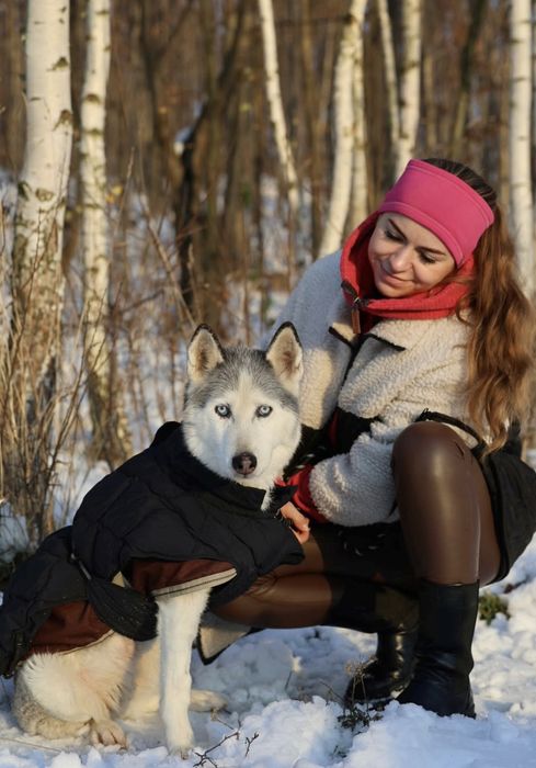 Husky Gabi szuka domu
