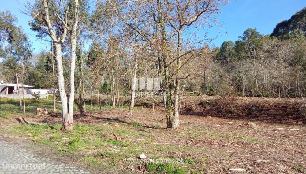 Venda de Terreno de construção, Afife, Viana do Castelo.