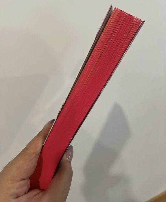 Livro se nos voltarmos a encontrar