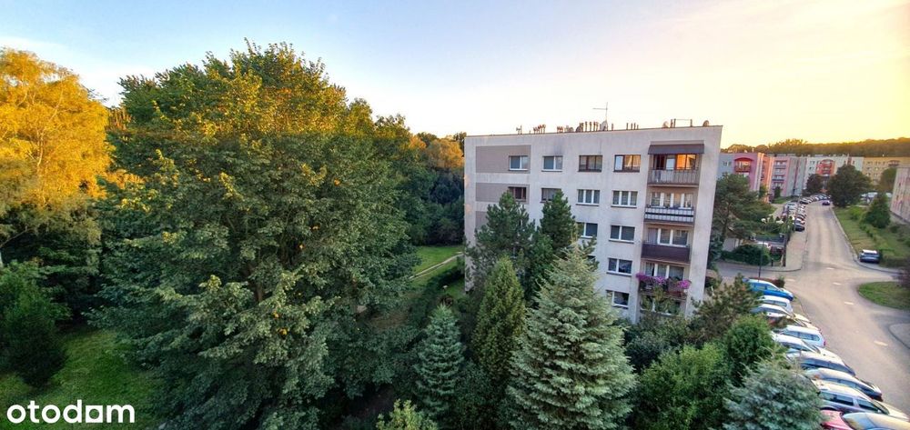 Mieszkanie 2 pok Zabrze osiedle Janek