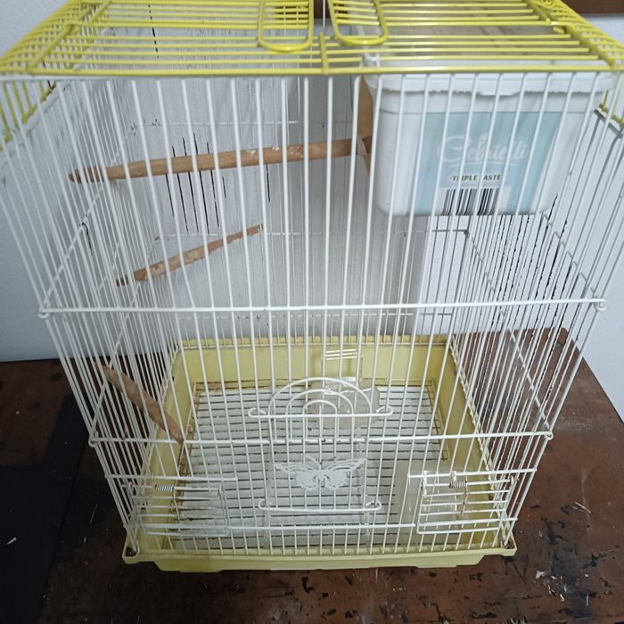 gaiola para periquito