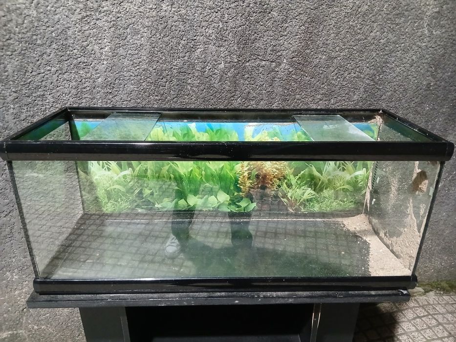 Vendo  base aquário