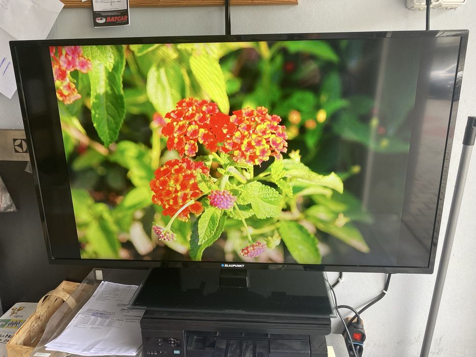 Telewizor 40 cali Blaupunkt B40A233TC