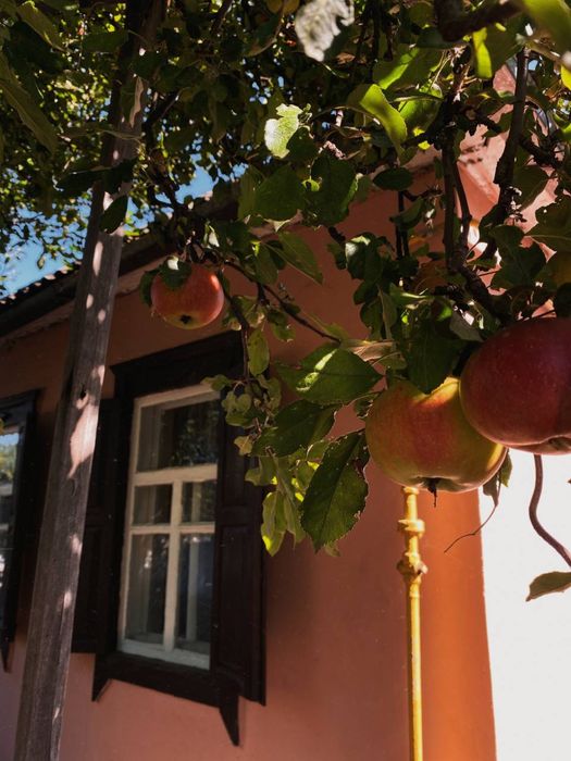 Продам ДОМ г. Лозовая в городе (р-н поликлиники)