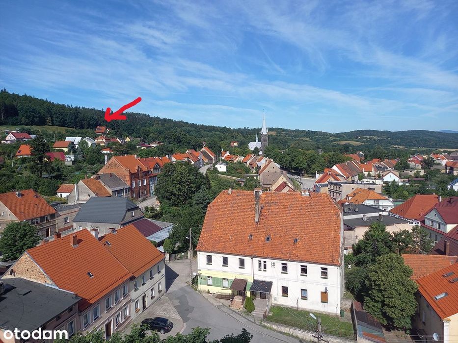 Dom wolnostojący z garażem i ogrodem w mieście