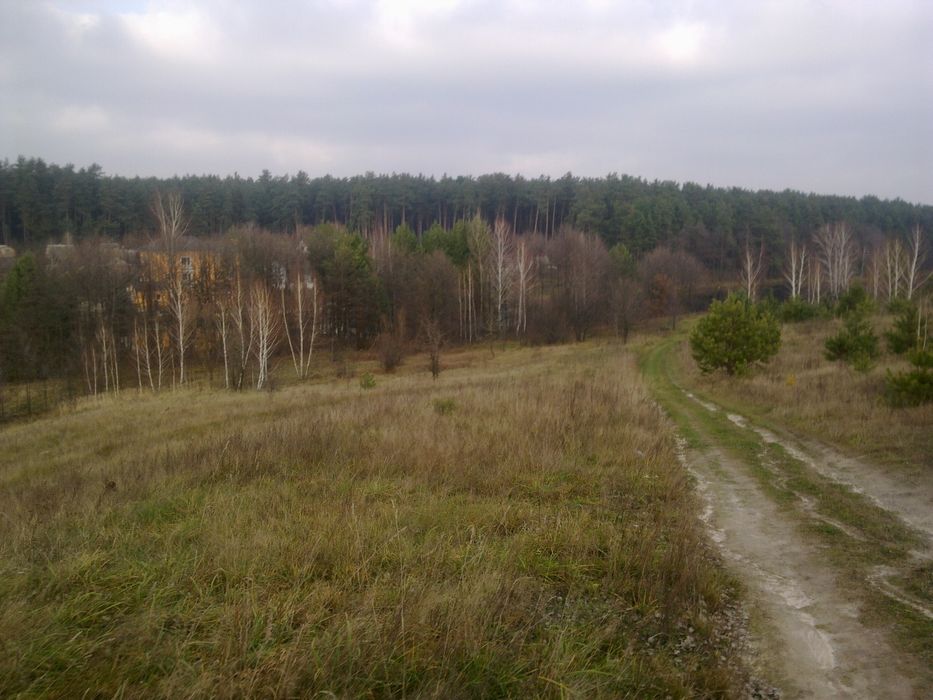 Продаж ділянки 6.4га с.Гуровщина,забудова - Вид 2