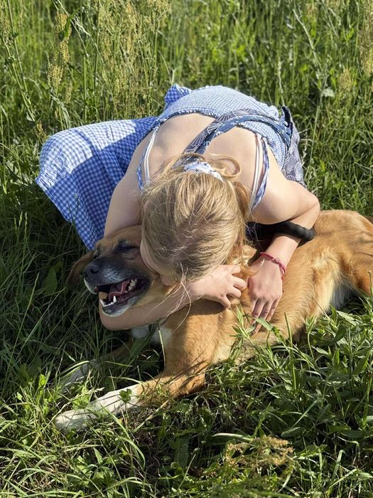 Suczka Sally do adopcji