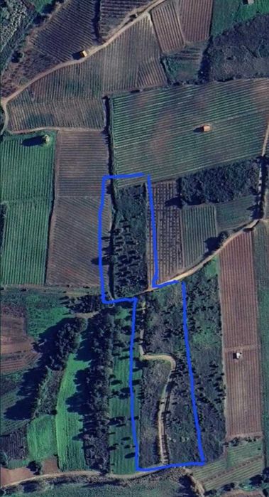 Terreno Rústico 10.000m² - Torres Vedras