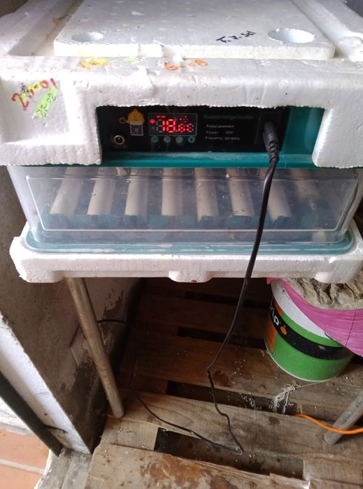 Chocadeira de 48 ovos