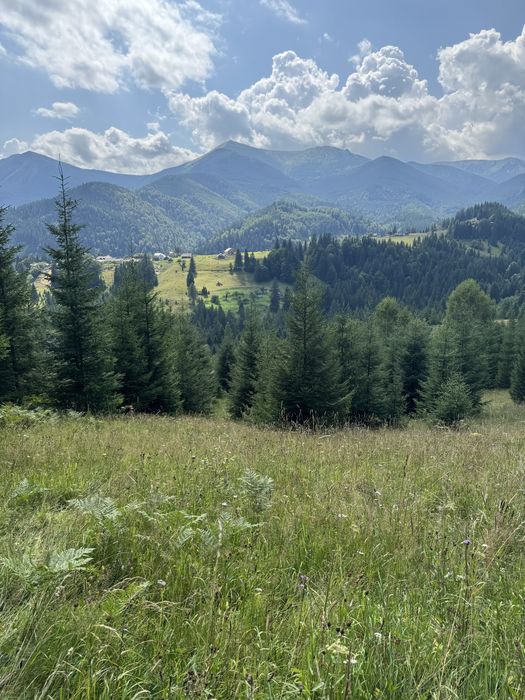 Земельна ділянка в горах Карпатах, Дземброня, під забудову