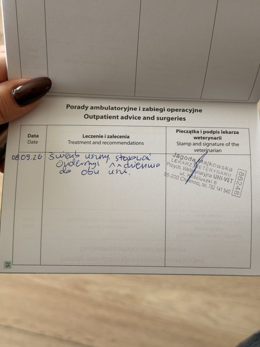 Oddam Kotka w Dobre Ręce