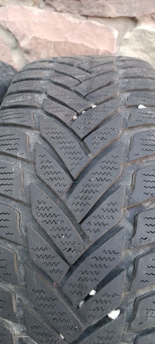 Шини зимові данлоп 195/55/16