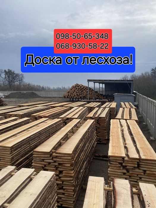 Доска от лесхоза от 10 грн!