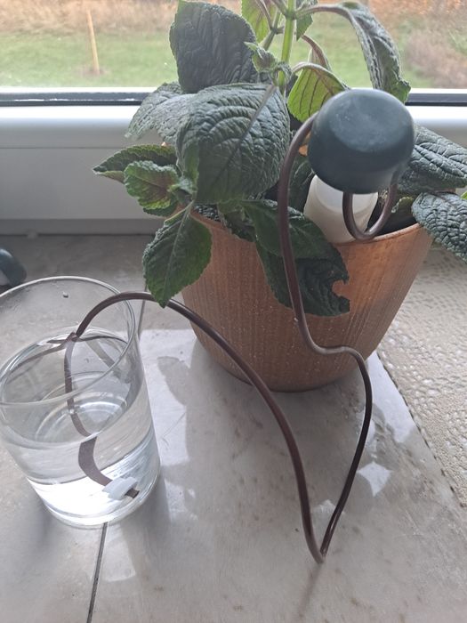 Samonawodniające kolce do nawadniania roślin doniczkowych. 4 sztuki