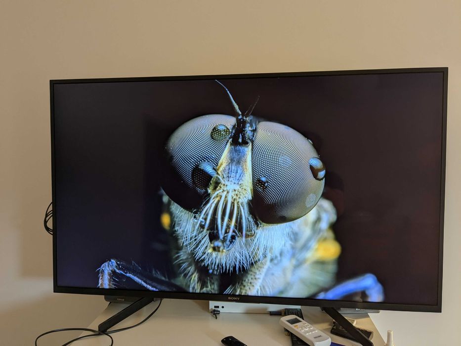 Sony Bravia KD-49XG7005 Smart TV