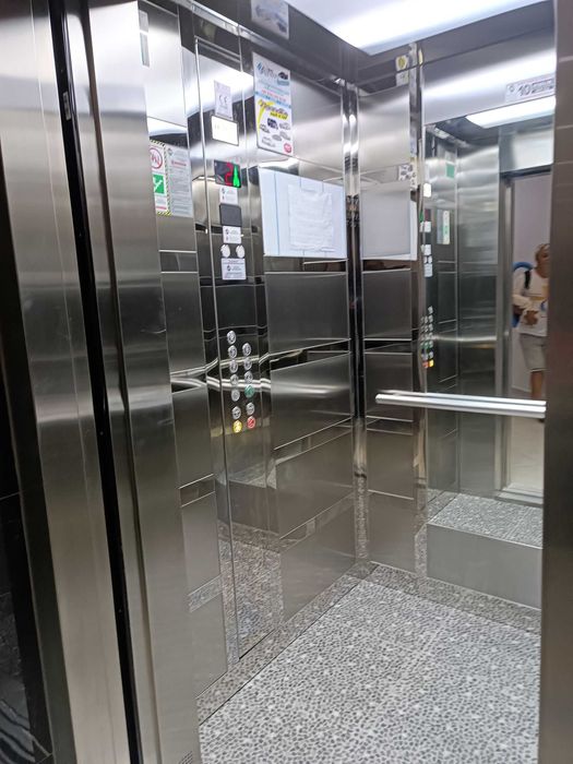 Встречаем Новый Год в сосновом лесу рядом с пляжем Инжекум в  Алании