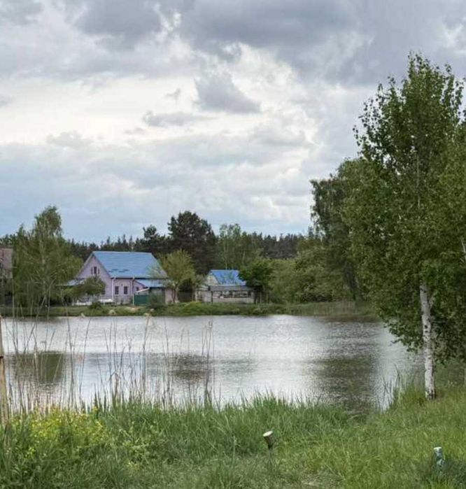 Здам дачу біля Озірщини
