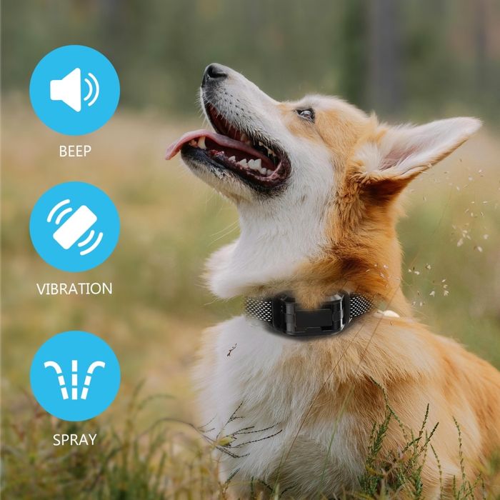 Нашийник для дресирування собак