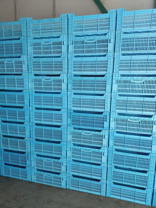 Продам пластиковые ящики Ряба, малые и большие