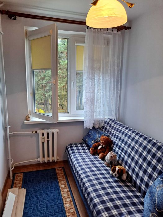 mieszkanie do kupienia