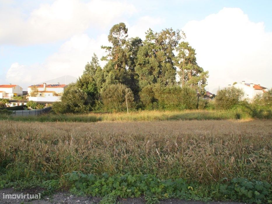 Espaçoso terreno com 2 frentes para construção de moradias - Aveiro