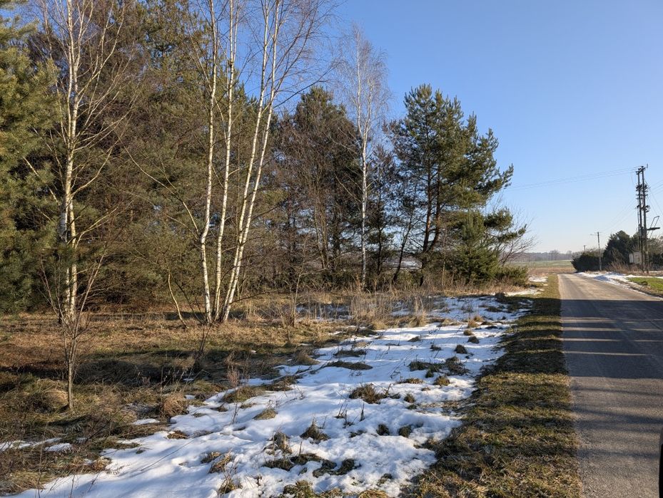 Działka na sprzedaż zalesiona